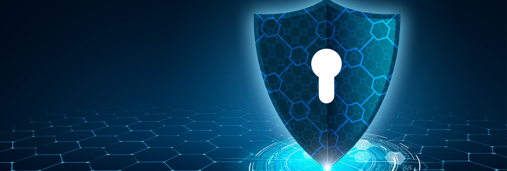 Software Development